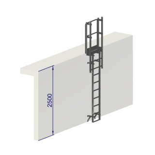 Échelle à crinoline hauteur 2500 mm sans arceaux