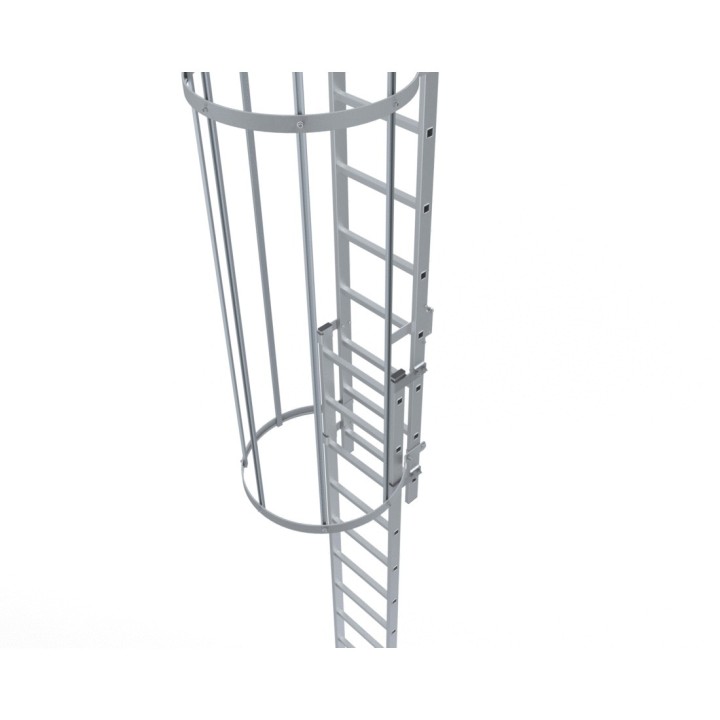 Entrée escamotable pour échelle à crinoline | L'Echelle Européenne