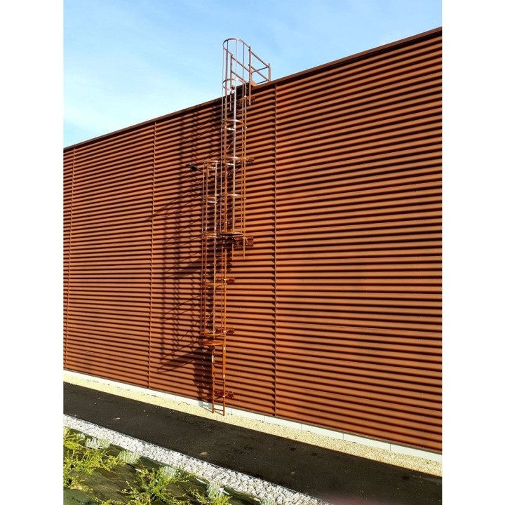 [*** Escalera de protección dorsal - crinolina pintada fijación chapa ***]