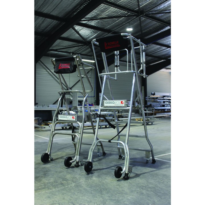 GEEKO.ROLL 2 versions : avec garde-corps double et portillon automatique