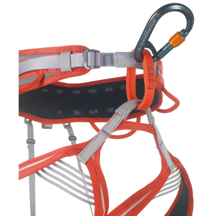 Mousqueton CORE BELAY LOCK | L'Echelle Européenne