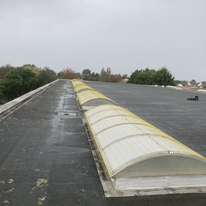 Filet de protection pour translucide T-MESH