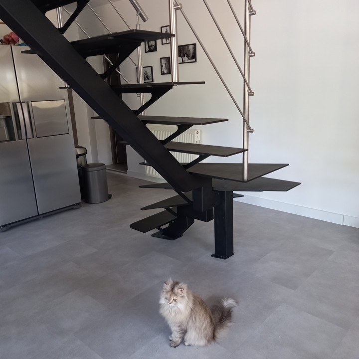 Escalier ZEN STEEL | L'Echelle Européenne