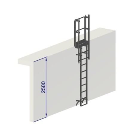 Échelle à crinoline hauteur 2500 mm sans arceaux