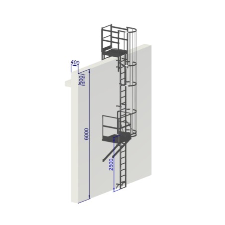 Échelle à crinoline hauteur 6000 mm avec passage d'acrotère