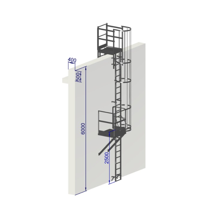 Échelle à crinoline hauteur 6000 mm avec passage d'acrotère