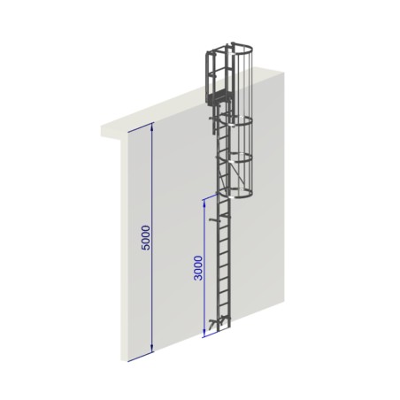 Echelle à crinoline 5000 mm