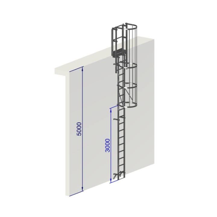 Echelle à crinoline 5000 mm