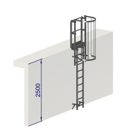 Échelle à crinoline hauteur 2500 mm avec arceaux EN ISO 14122-4