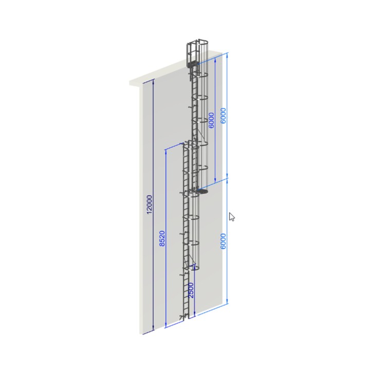 Échelle à crinoline hauteur 12 000 mm EN ISO 14122-4