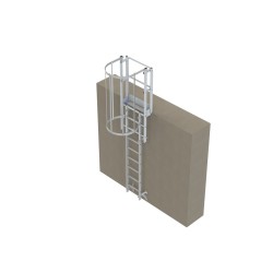 Échelle à crinoline hauteur 2500 mm avec arceaux NF E85-016