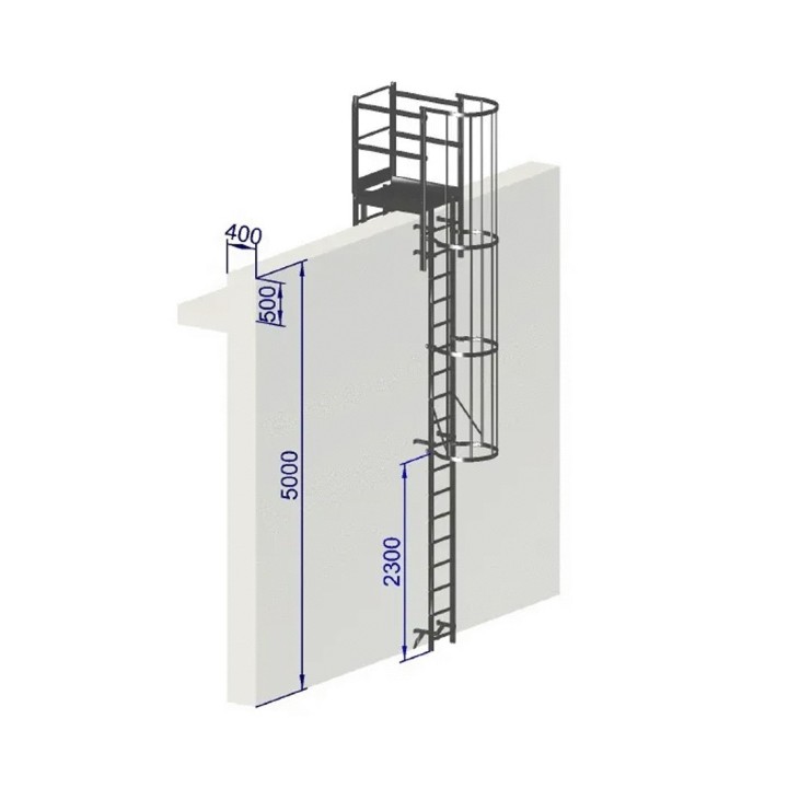 Échelle à crinoline hauteur 5000 mm avec passage d'acrotère