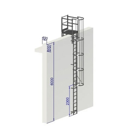 Échelle à crinoline hauteur 6000 mm avec passage d'acrotère