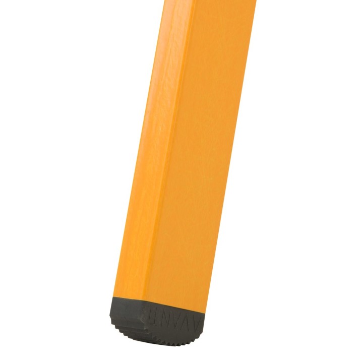 Echelle simple en fibre à échelons