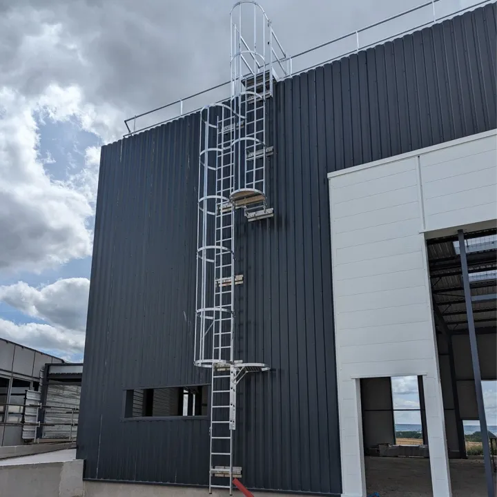 Echelle à crinoline fournie et posée sur un bâtiment industriel par L'Echelle Européenne