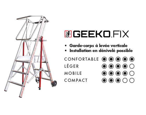PIRL GEEKO.FIX