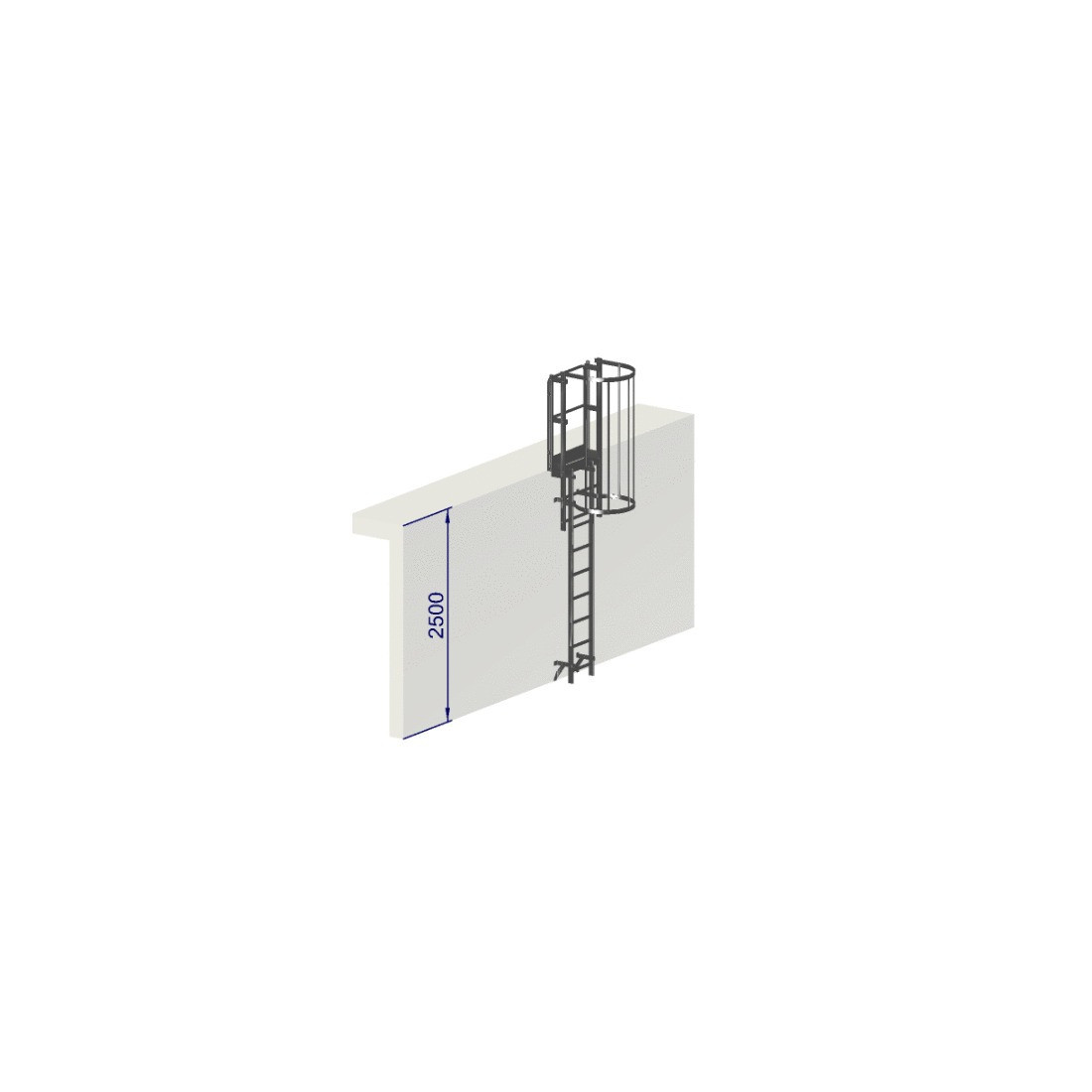 Échelle à crinoline hauteur 2500 mm avec arceaux NF E85-016